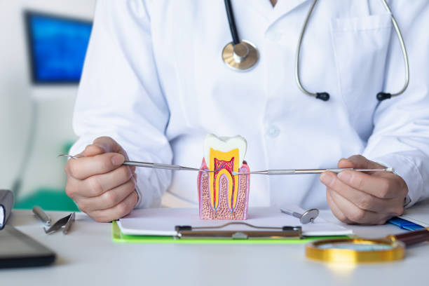 Best Emergency Dentist for Lost Fillings or Crowns in Centuria, WI